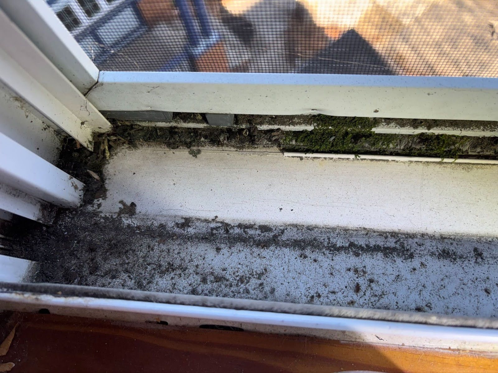 Image of Philly window sill before Dr. Leaks performed the window leak repair