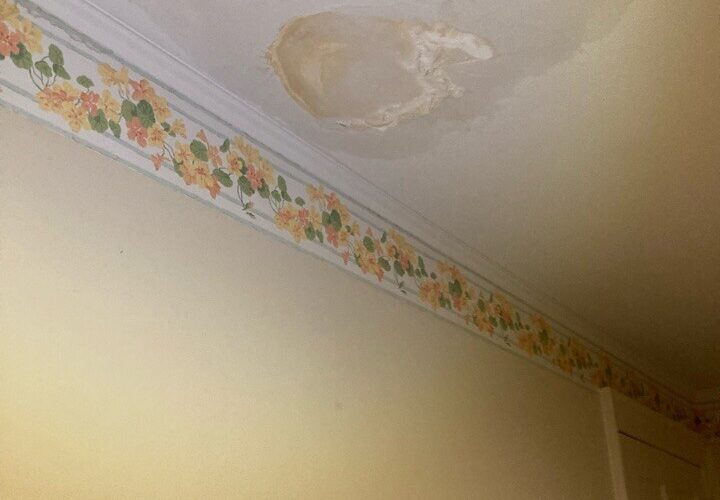 main line Philadelphia ceiling leak detection