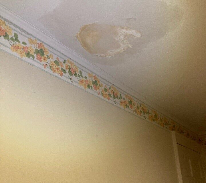 main line Philadelphia ceiling leak detection