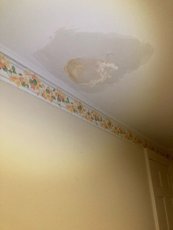 main line Philadelphia ceiling leak detection